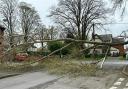 A tree blocked the entrance to Cotswold Drive in Hereford this afternoon
