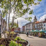 Planters were installed in High Town, Hereford, in 2021 as part of Herefordshire Council's plan to make the city greener. Picture: Jon Simpson/Hereford Times Camera Club