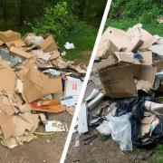 Sam Luke Richards dumped his business waste at Haugh Woods, near Hereford