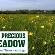The Lugg Meadow, which will be harvested for hay next month