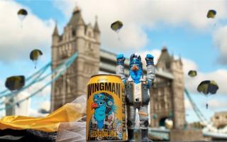 To promote their new beer 'Wingman', they have quite the game of hide and seek for you.