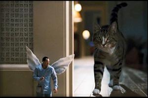 Image for movie 1521