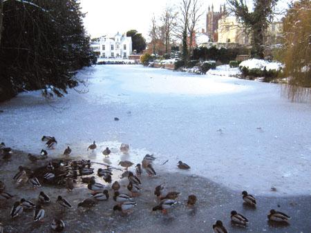 Vicki Stanford sent us this photo of the Castle Pool frozen over with ducks on.
