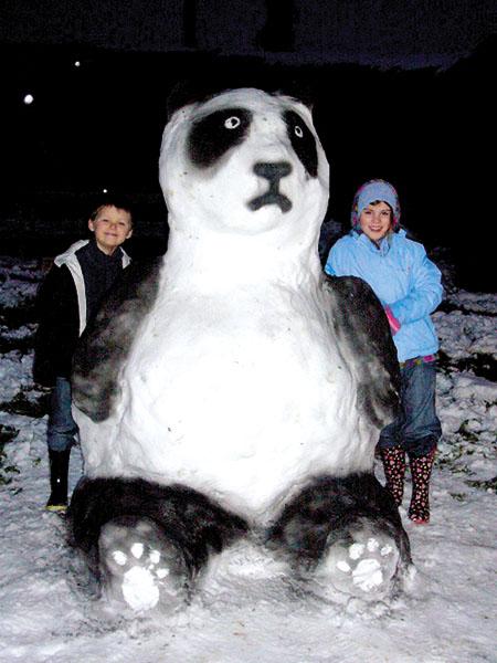 A Snow Panda built by Betty and Robbie Marriott (with a little help from mum and Dad) in Ocle Pychard.