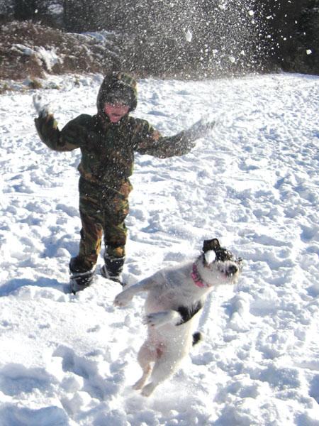 Isobel Hollis sent us this photo of a dog & it's young master enjoying the snow in Orcop.