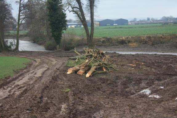 Hereford Times: The river Lugg's bank has been bulldozed, Herefordshire Wildlife Trust says Hereford Times: The river Lugg's bank has been bulldozed, Herefordshire Wildlife Trust says
