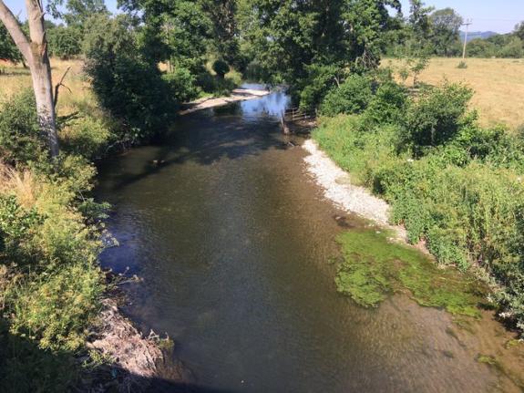 Hereford Times: The scene before the riverbank was bulldozed. Picture: Herefordshire Wildlife Trust Hereford Times: The scene before the riverbank was bulldozed. Picture: Herefordshire Wildlife Trust