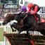 Big Buck's (near) jumps the last with Time For Rupert