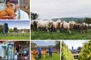 The Food and Farming Awards recognise the success of businesses - from field to fork. Nominations have been received from (clockwise from main pic) Wild by Nature (picture: Wild by Nature llp); Chase Distillery, Josh and Adam Jones of Kelsmor Dairy,