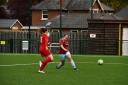 Katie Young fires home for Westfields Women. Picture: Helen Warwick