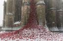 Weeping Window, Hereford, in the snow. Picture by Chris Bridges