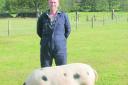 Pig breeder Darrel Bray, from Ludlow Food Centre,  with a Gloucester Old Spot.