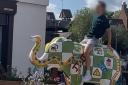The man was filmed clambering on the hospice elephant.