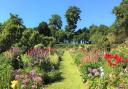 Hergest Croft Gardens has been shortlisted for a coveted national award