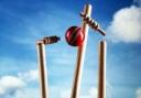 Cricket stock photo
