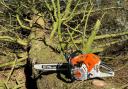 Stihl chainsaws have been stolen in a burglary near Hereford. Stock picture