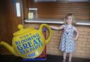 Evie Westacott pouring the tea at the Blooming Great Tea Party in Much Birch Community Hall which raised £570.60p to support the Herefordshire Marie Curie Nurses