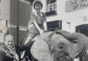 Brenda Savory riding an elephant accompanied by John Newman