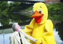 President Ron has a ducky encounter