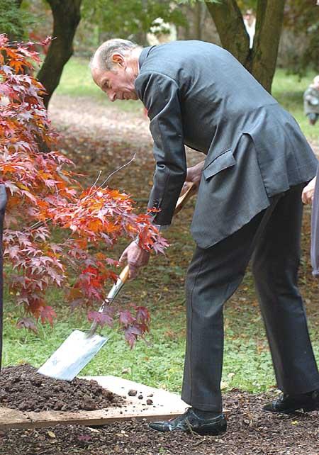 The Duke of Kent plants a maple tree.