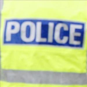 Two young boys found dead in a parked car.