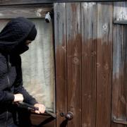 Sheds were broken into at allotments in Wellington Heath