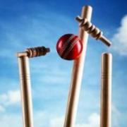 Cricket stock photo