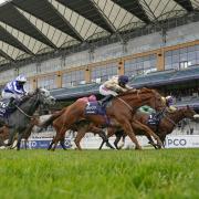 Glen Shiel ridden by Hollie Doyle (centre) wins The Qipco British Champions Sprint Stakes at Ascot Racecourse. PA Photo. Picture date: Saturday October 17, 2020. See PA story RACING Ascot. Photo credit should read: Alan Crowhurst/PA Wire. RESTRICTIONS: