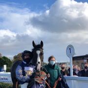 Presentedwithwings brought success for local trainer Tom Symonds. Picture: Hereford Racecourse