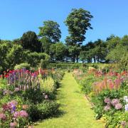 Hergest Croft Gardens is taking part in the festival