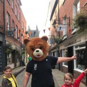 A bear hunt is taking place across Herefordshire.