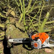 Stihl chainsaws have been stolen in a burglary near Hereford. Stock picture