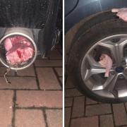 Officers said the offender stuffed some lamb chops into the exhausts pipe of a vehicle parked in a village near Hereford. Picture: West Mercia Police