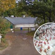 Hunton Farm, one of the three farms where chicken litter boilers are being installed (picture: Google Street View)