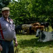 Farmer Dave Greenow at his farm on the outskirts of Hereford.    Picture: Michael Eden