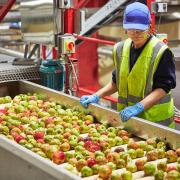 Westons Cider, based in Much Marcle, has announced a £2 million investment in its mill