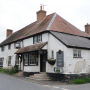 The Royal George pub in Lyonshall, near Kington, has been owned by Kinsey Hern for eight years