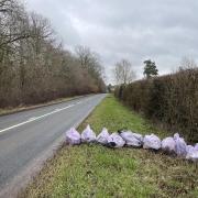 Several bags of litter lined up alongside the A438 between Hereford and Ledbury, near Tarrington