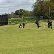 Romesh Venkataraman, who was the day's star bowler with five wickets taken and just 16 conceded in eight overs, including two maidens, in action at Werrngton against Cornwall.