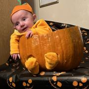 Six-week-old Owen Watkins from Herefordshire dressed as a Halloween pumpkin