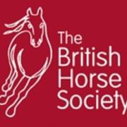 Equestrian, the Sports and Recreation Alliance is featuring questions on horse riding in its biennial Sports Club Survey for the first time