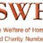 Society for the Welfare of Horses and Ponies