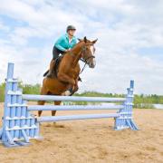 Equestrian, events for you and your horse