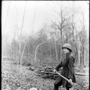 Alfred Watkins' photo of Marion Watkins felling an oak tree. The photo is dated from approximately 1916. Photo: Herefordshire Museum Service.