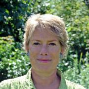 Diana Toynbee (Green) - Final election address