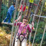 Monkey around among the tree-tops at Go Ape in the Forest of Dean and Wyre Forest.