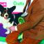 Kevin Drover with Mirage the Cardigan Welsh Corgi