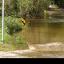 The ford at Thornford Road, Compton Wood, Hampshire, where a man and a dog died after the car they were travelling in became submerged