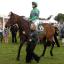 Grand National winner Mon Mome parading for the Queen. Grand National winner Mon Mome parading for the Queen.