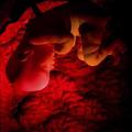 Human Fertilisation and Embryology Bill to be debated in the Commons